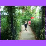 Walking the Maze.jpg